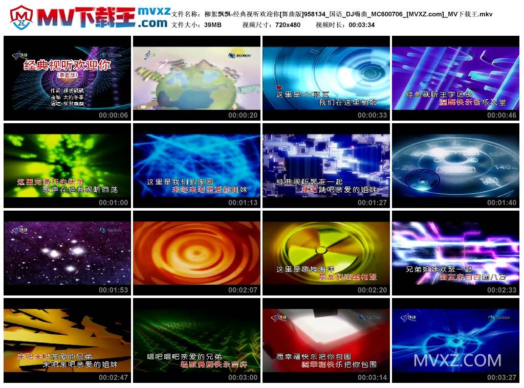 柳絮飘飘-经典视听欢迎你[舞曲版]958134_国语_DJ嗨曲_MC600706